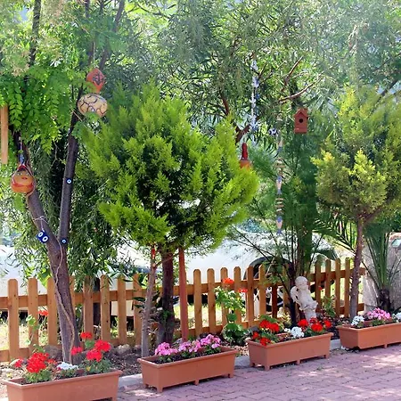 Shambala Pansiyon